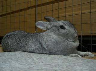 ふぅ♪