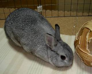ふんふん♪
