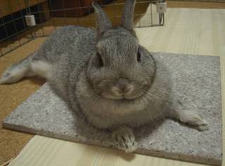 ん?