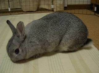 きょろきょろ♪