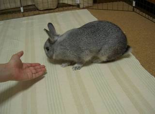 が〜ん…