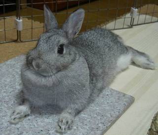のんびり♪