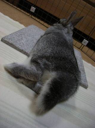 のんびり♪