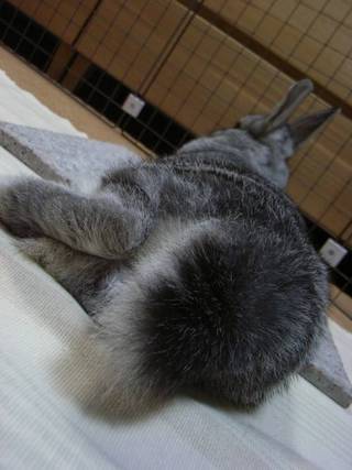 まったり♪