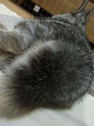 ふんわり♪