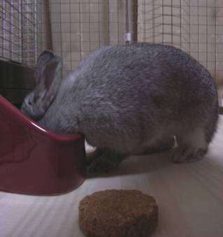 ふんふん♪