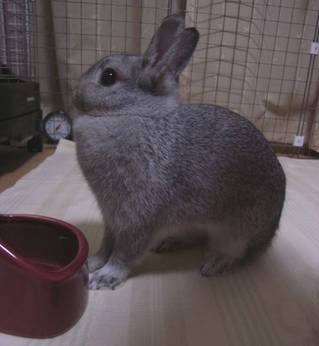 はて?
