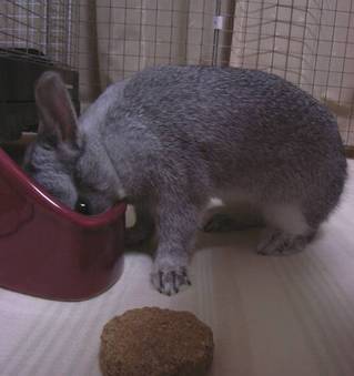 ふんふん♪