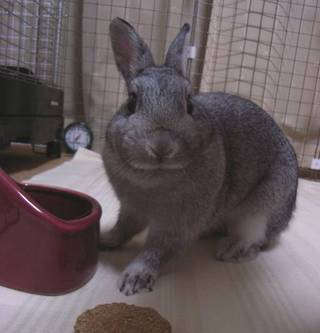 どうして!?