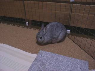 こっそり♪