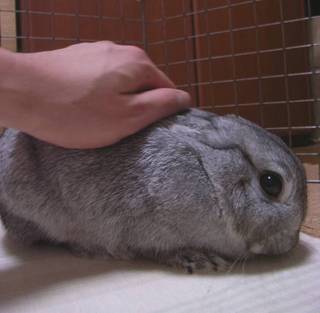 むぅむぅ♪