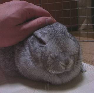 うにゅぅ♪