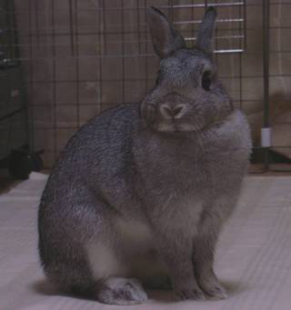 ん?