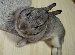 ん?