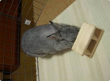 ふがふが♪