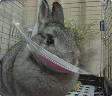 ん?