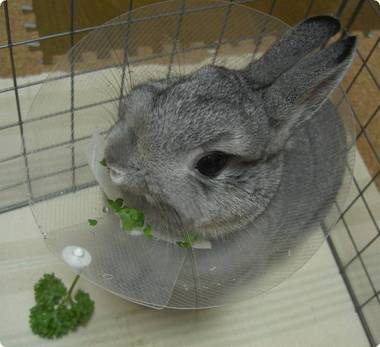 うまうま♪