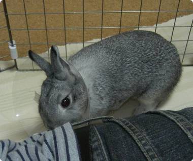 つんつん♪