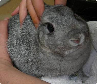 むぅむぅ♪