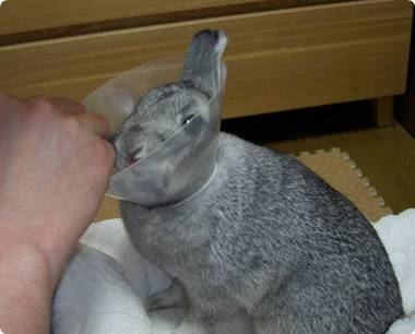 ちんまり