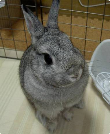 ん?
