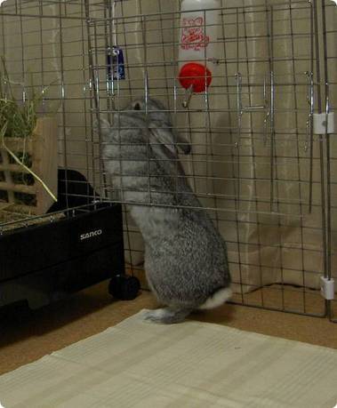 もぞもぞ♪