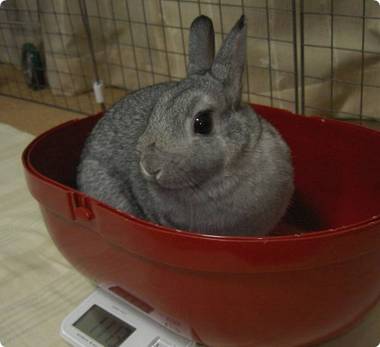 ん?