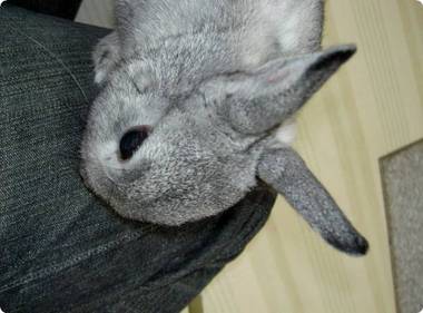 ぺろぺろ♪