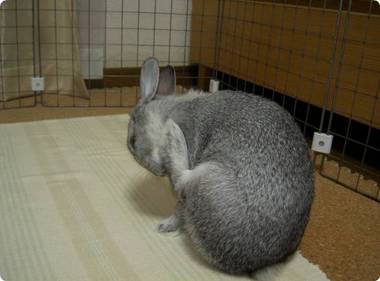 ふんふん♪