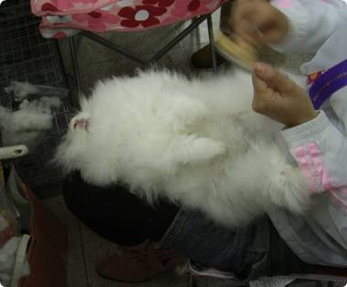 ふっさふっさ♪