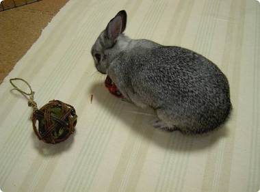 がぶ〜っ♪