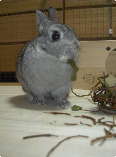 うまうま♪