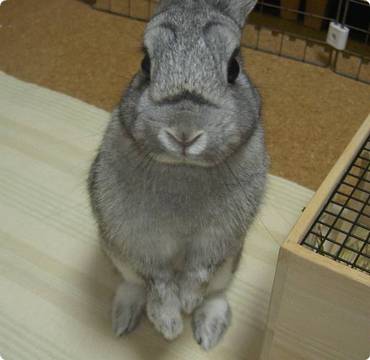 ん?