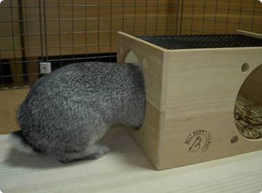 しめしめ♪