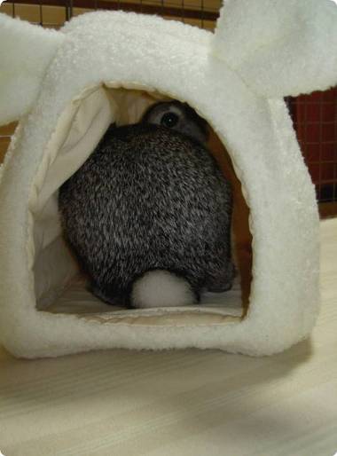 あの〜もしもし?