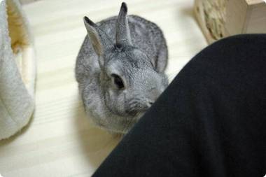 つんつん♪