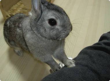 ちょうだい♪