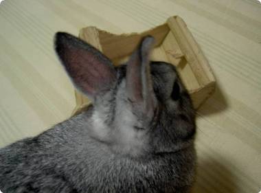 ん?