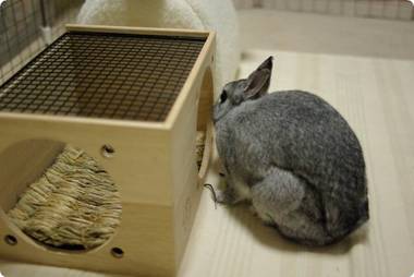む?