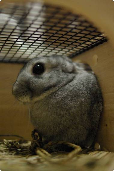 よいしょよいしょ♪