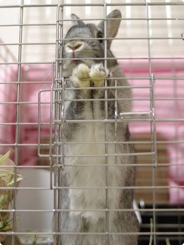 超特急で準備してるよ、マナちゃん