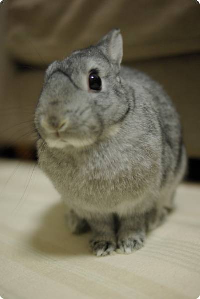 ん?