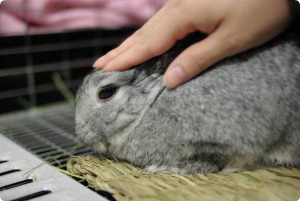 むぅ♪