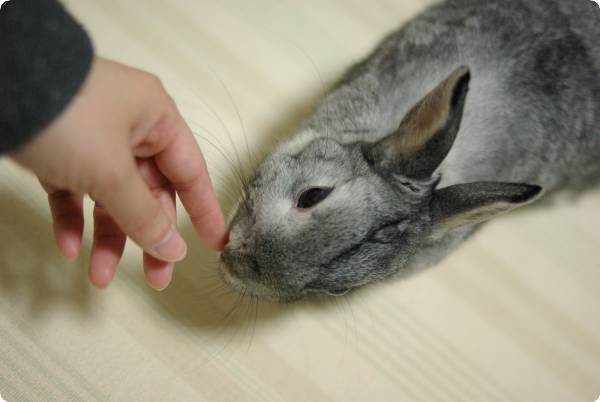 つんつん♪