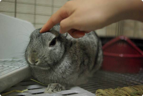 おでこつんつん♪