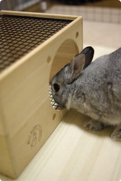 もしも〜し♪