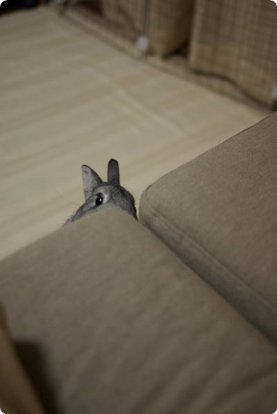あらま〜っ
