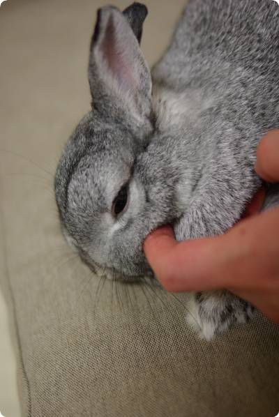 うっとり♪