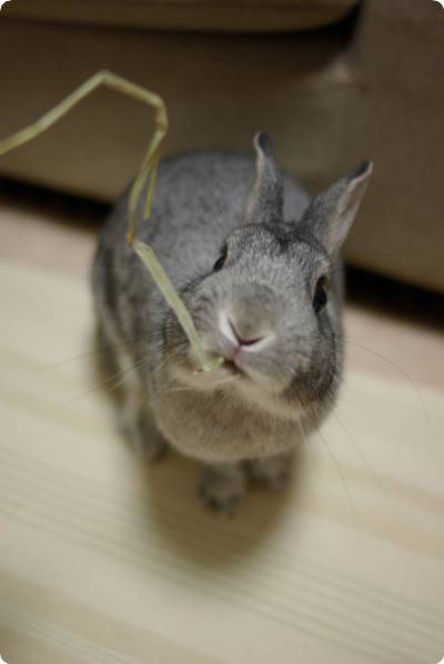 むぐむぐ♪