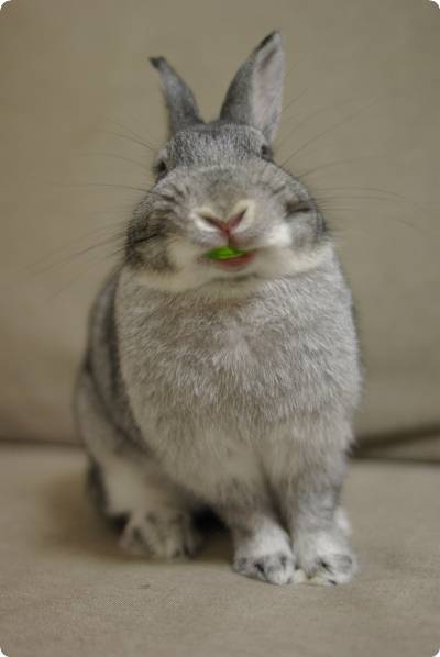 うまうま♪